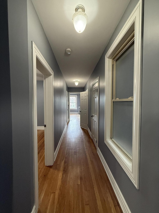 469 W Willis St Unit 4, Detroit, MI 48201 - corridor featuring dark wood-style floors and baseboards