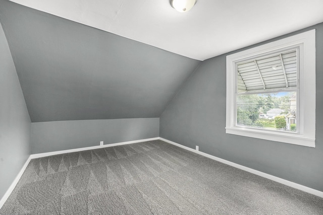 1169 3rd St NW, Grand Rapids, MI 49504 - additional living space featuring lofted ceiling, baseboards, and dark colored carpet