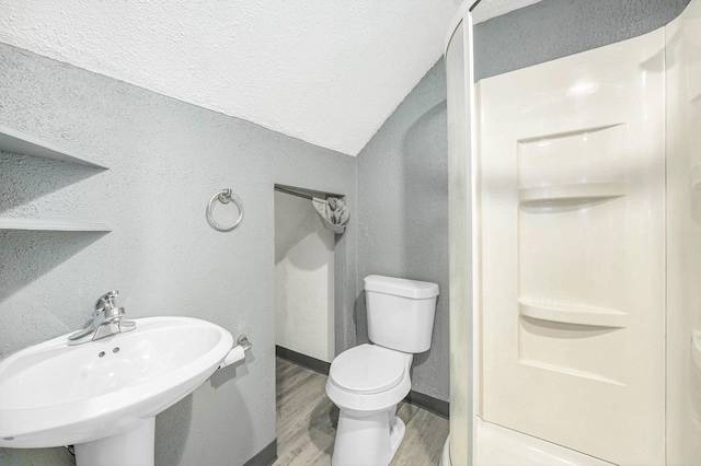 1169 3rd St NW, Grand Rapids, MI 49504 - full bathroom featuring a sink, a textured wall, wood finished floors, a shower stall, and toilet