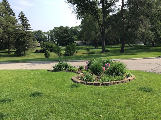 1077 Wedgewood Dr, Plainwell, MI 49080 - view of property's community with a lawn