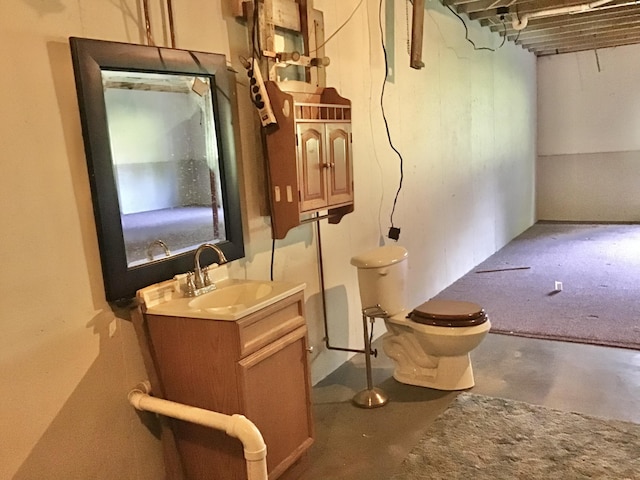 1077 Wedgewood Dr, Plainwell, MI 49080 - below grade area with a sink
