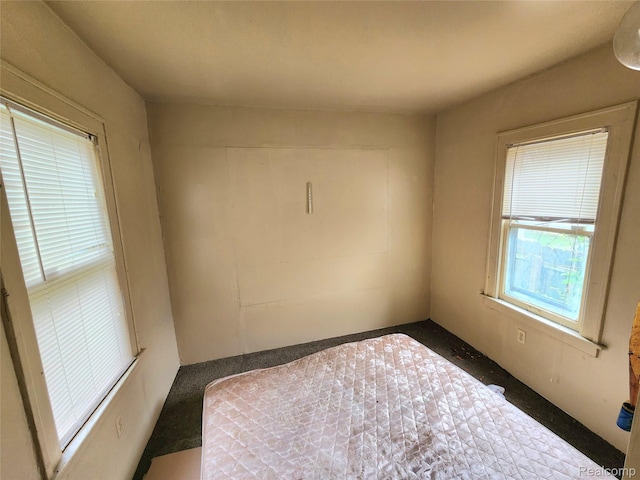 16612 Ilene St, Detroit, MI 48221 - view of carpeted empty room