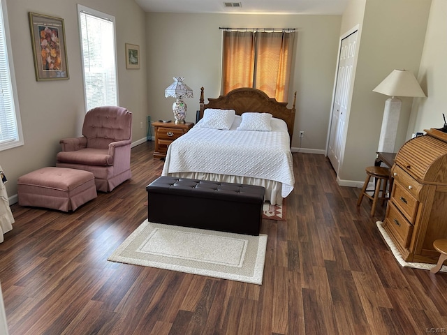 112 Kilkenny Dr, Onsted, MI 49265 - bedroom with multiple windows, baseboards, dark wood-style floors, and a closet