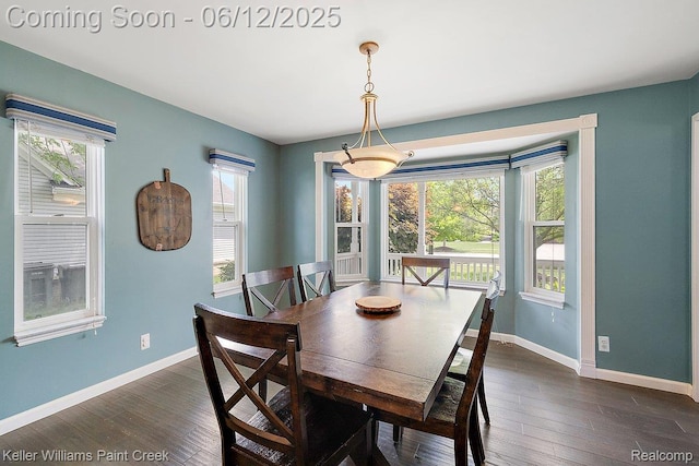 46341 Jasmine Ct, Chesterfield, MI 48047 - dining space featuring dark wood-type flooring