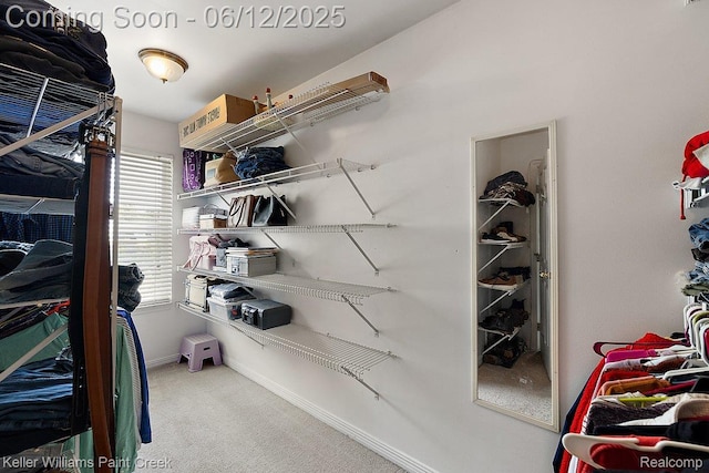 46341 Jasmine Ct, Chesterfield, MI 48047 - walk in closet featuring carpet