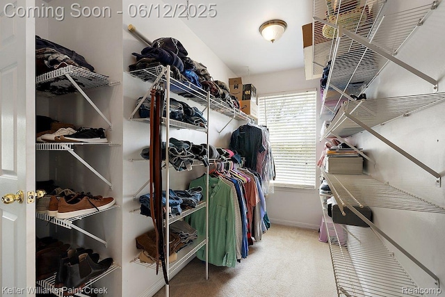 46341 Jasmine Ct, Chesterfield, MI 48047 - spacious closet with carpet flooring