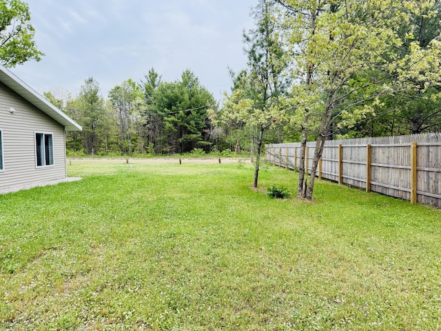 4223 S Harvard Ave, Baldwin, MI 49304 - view of yard