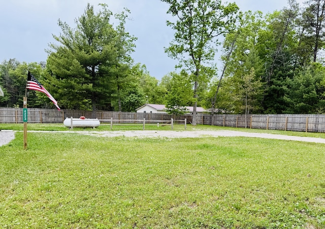 4223 S Harvard Ave, Baldwin, MI 49304 - view of yard