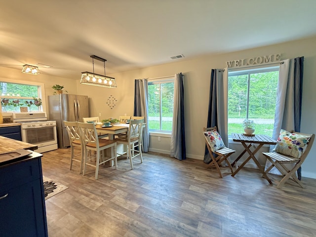 4223 S Harvard Ave, Baldwin, MI 49304 - dining space featuring plenty of natural light, light wood-type flooring, and baseboards
