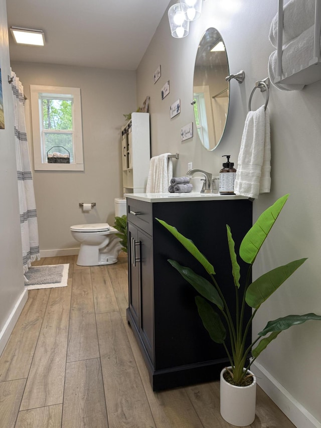 4223 S Harvard Ave, Baldwin, MI 49304 - bathroom with toilet, vanity, wood-type flooring, baseboards, and a shower with curtain