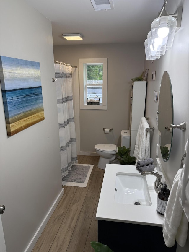 4223 S Harvard Ave, Baldwin, MI 49304 - bathroom featuring wood finished floors, toilet, vanity, baseboards, and a shower with curtain