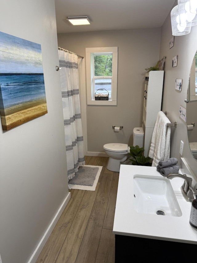 4223 S Harvard Ave, Baldwin, MI 49304 - bathroom featuring wood finished floors, toilet, vanity, baseboards, and curtained shower