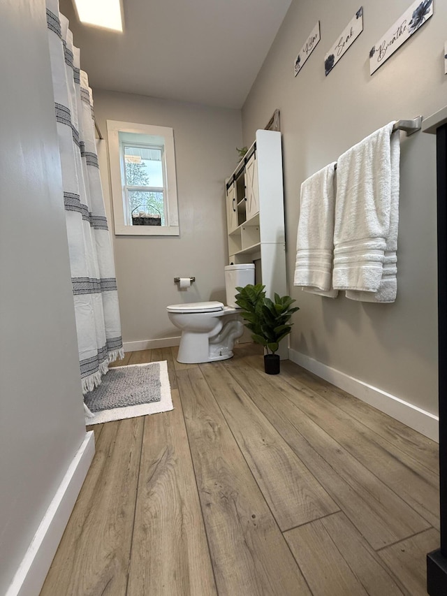 4223 S Harvard Ave, Baldwin, MI 49304 - full bathroom featuring toilet, wood finished floors, and baseboards