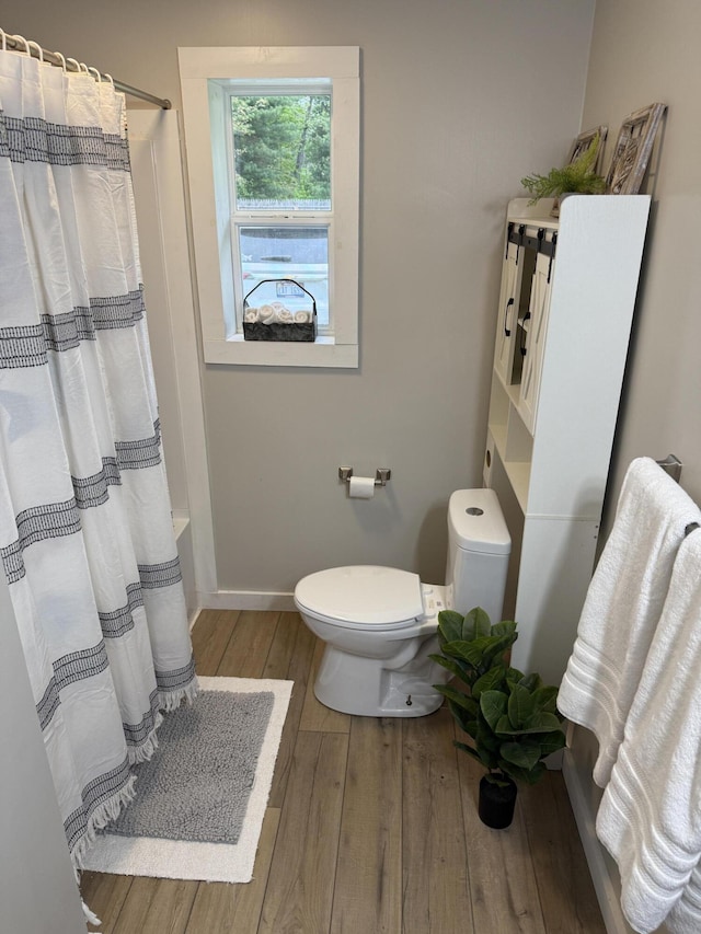 4223 S Harvard Ave, Baldwin, MI 49304 - bathroom with wood finished floors, toilet, and baseboards