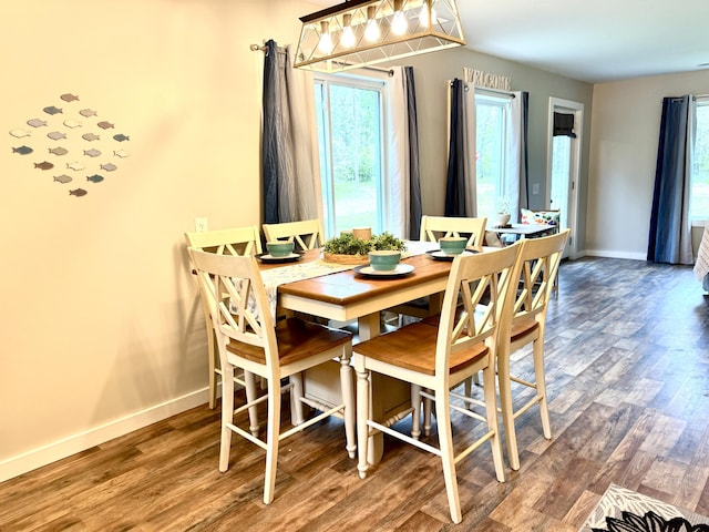 4223 S Harvard Ave, Baldwin, MI 49304 - dining space featuring healthy amount of natural light, wood finished floors, and baseboards