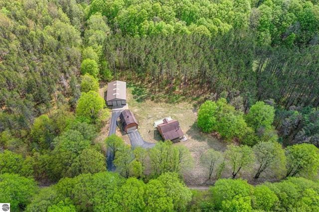 2460 E 26th Rd, Cadillac, MI 49601 - aerial view of a forest