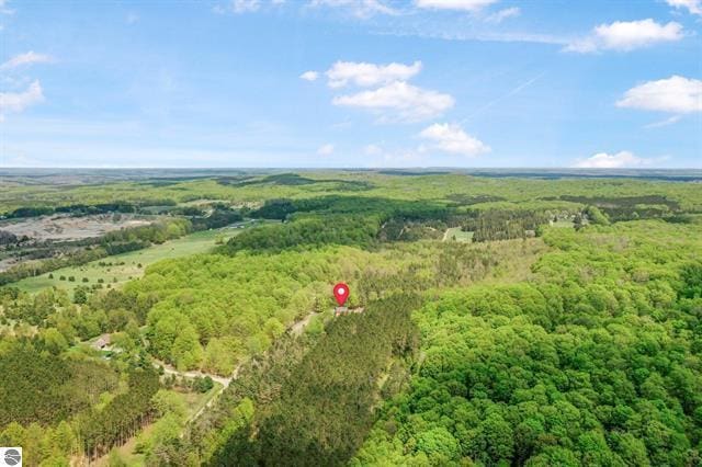 2460 E 26th Rd, Cadillac, MI 49601 - bird's eye view of a forest