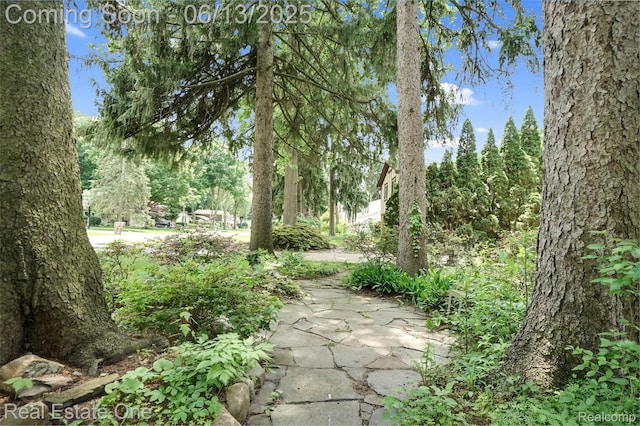 23229 Gilbar St, Novi, MI 48375 - surrounding community