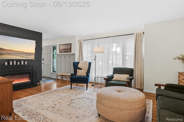 23229 Gilbar St, Novi, MI 48375 - living area featuring healthy amount of natural light, a glass covered fireplace, and wood finished floors
