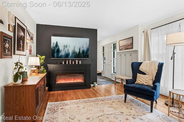 23229 Gilbar St, Novi, MI 48375 - living room with light wood finished floors and a glass covered fireplace