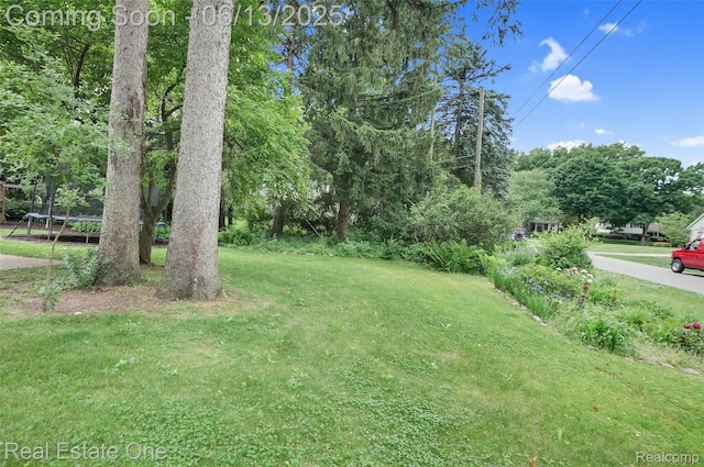 23229 Gilbar St, Novi, MI 48375 - view of green lawn