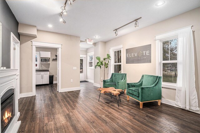 119 E Eliza St, Schoolcraft, MI 49087 - sitting room featuring rail lighting, dark wood-style flooring, baseboards, and recessed lighting