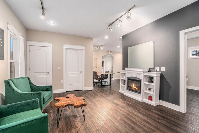 119 E Eliza St, Schoolcraft, MI 49087 - living area with dark wood-style floors, baseboards, arched walkways, and a glass covered fireplace