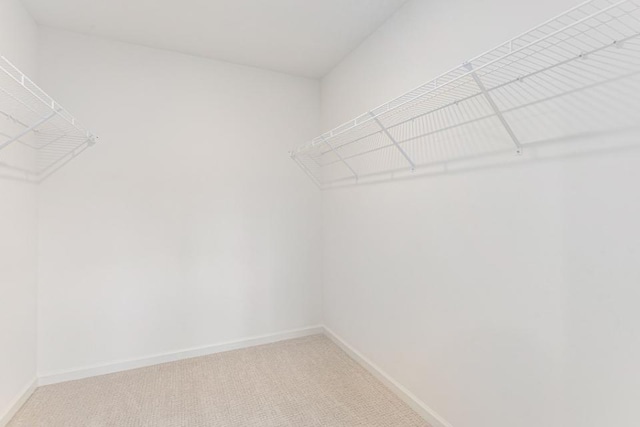 5978 Boxthorn Trl, Kalamazoo, MI 49009 - spacious closet with light carpet