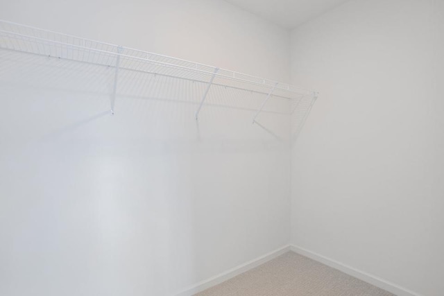 5978 Boxthorn Trl, Kalamazoo, MI 49009 - walk in closet with light carpet