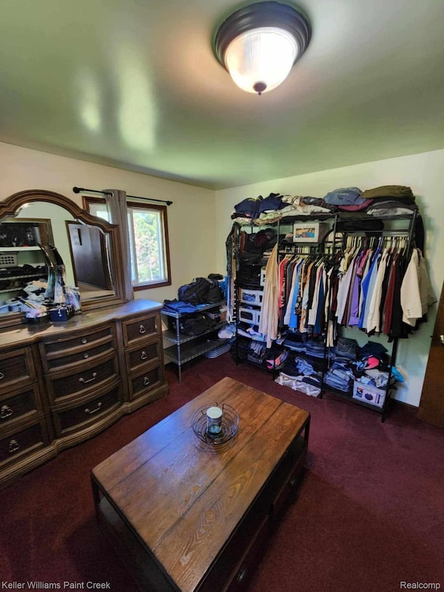370 Wales Ridge Rd, Wales, MI 48027 - walk in closet with dark carpet