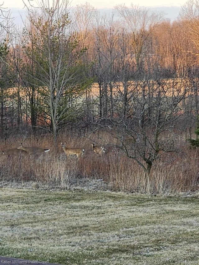 370 Wales Ridge Rd, Wales, MI 48027 - view of yard
