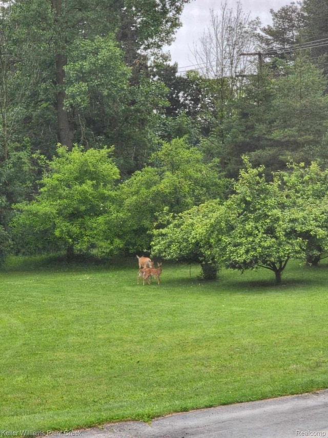 370 Wales Ridge Rd, Wales, MI 48027 - view of grassy yard