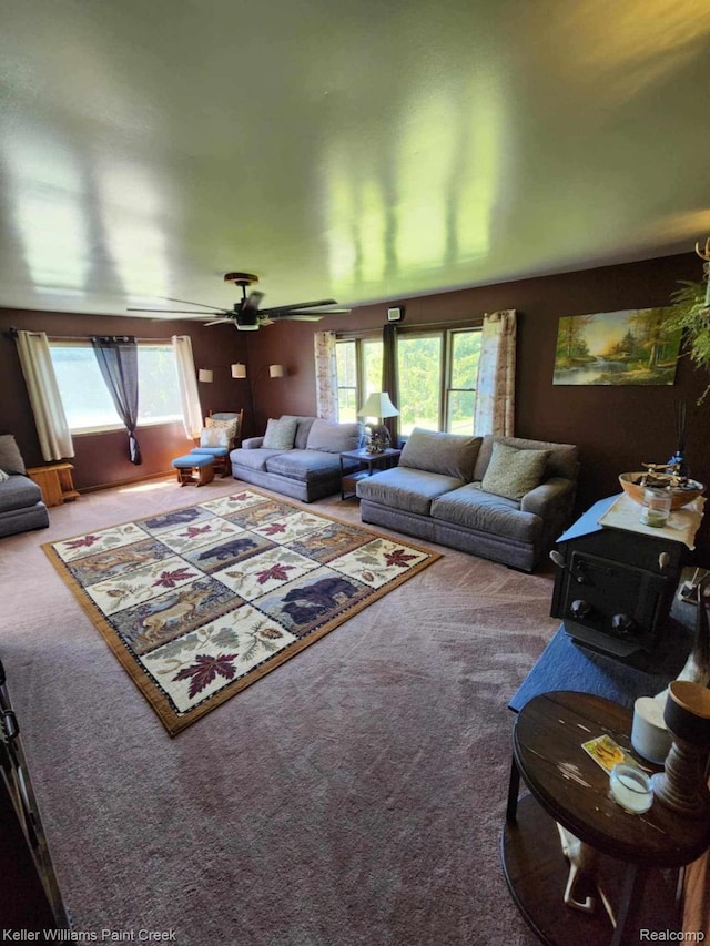 370 Wales Ridge Rd, Wales, MI 48027 - view of carpeted living area