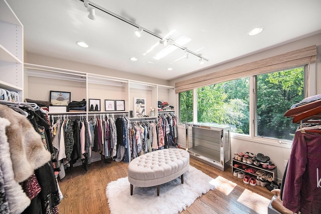 2002 Valleyview Dr, Ann Arbor, MI 48105 - walk in closet with wood finished floors