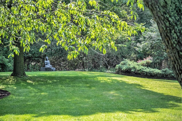 2002 Valleyview Dr, Ann Arbor, MI 48105 - view of green lawn