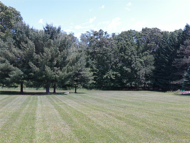 6140 Mcguire Rd, Fenton, MI 48430 - view of grassy yard