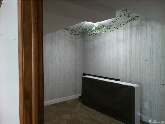 6140 Mcguire Rd, Fenton, MI 48430 - additional living space featuring carpet floors and wood walls