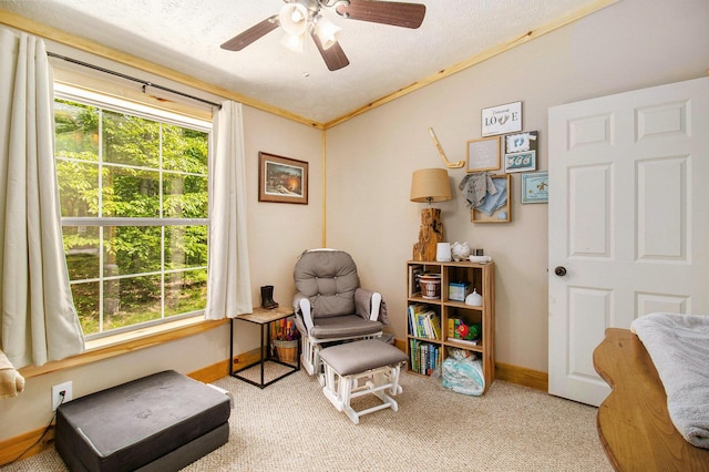5833 W Mavis Rd, Ludington, MI 49431 - photo 13