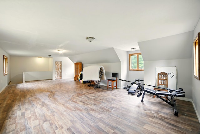 21759 205th Ave, Paris, MI 49338 - workout room with wood finished floors, baseboards, and lofted ceiling