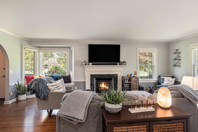 3225 Bronson Blvd, Kalamazoo, MI 49008 - living room with arched walkways, dark wood-style floors, ornamental molding, a high end fireplace, and baseboards