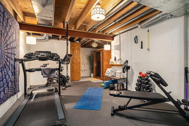 3225 Bronson Blvd, Kalamazoo, MI 49008 - exercise area with concrete block wall