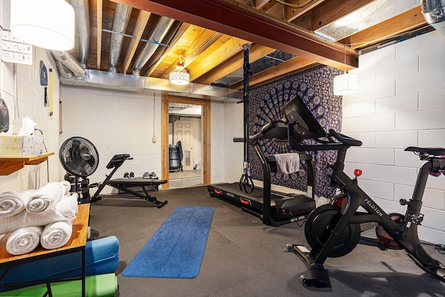 3225 Bronson Blvd, Kalamazoo, MI 49008 - exercise area with concrete block wall