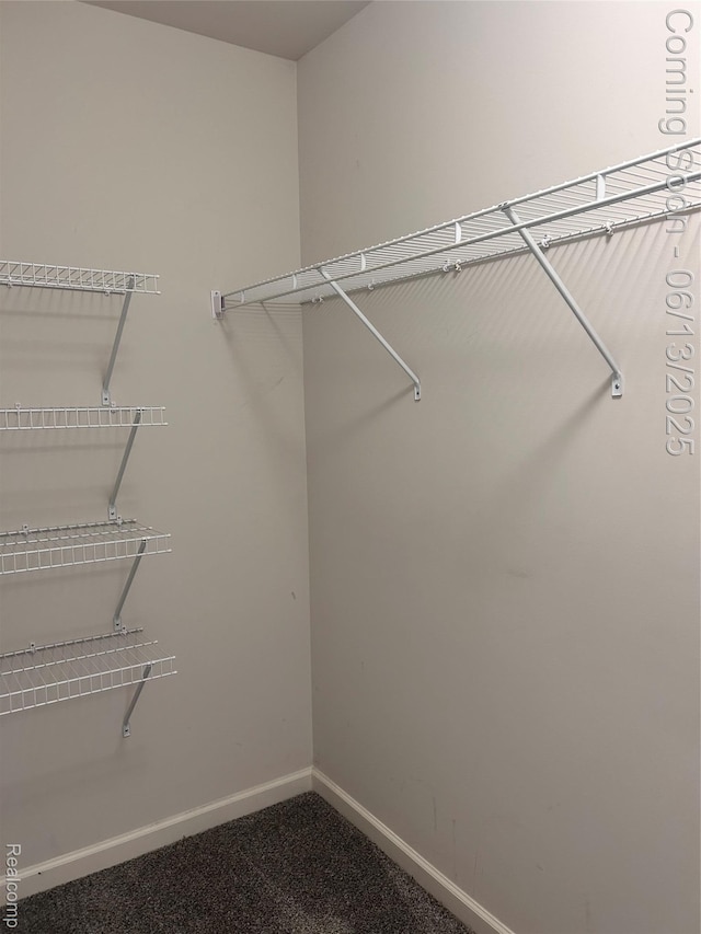 9145 Magnolia Ct, Davison, MI 48423 - view of walk in closet