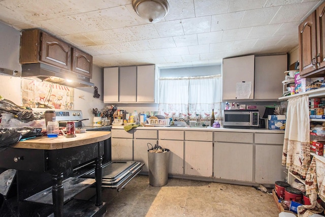 309 N Front St, Dowagiac, MI 49047 - kitchen with stainless steel microwave, light countertops, a sink, and range hood