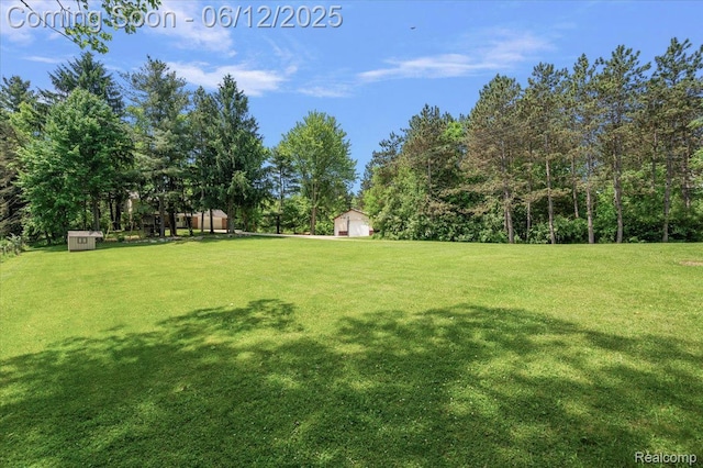 5836 Ewalt Rd, Imlay City, MI 48444 - view of green lawn featuring a shed