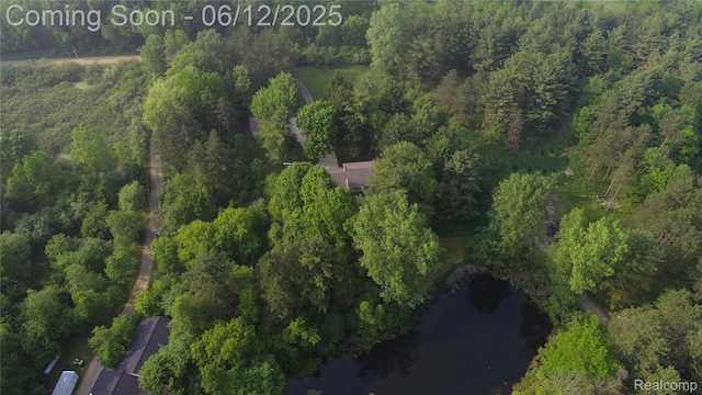 5836 Ewalt Rd, Imlay City, MI 48444 - aerial view of property's location with a forest