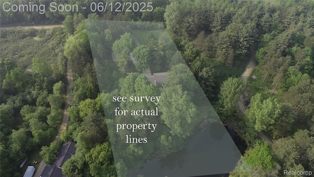 5836 Ewalt Rd, Imlay City, MI 48444 - view of property location with a forest