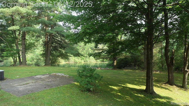 5836 Ewalt Rd, Imlay City, MI 48444 - view of grassy yard