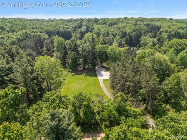 5836 Ewalt Rd, Imlay City, MI 48444 - aerial view of a forest