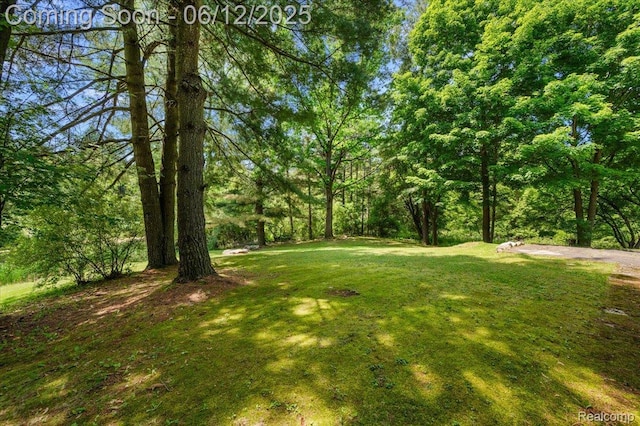 5836 Ewalt Rd, Imlay City, MI 48444 - view of grassy yard